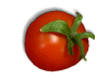 Captcha image 7497